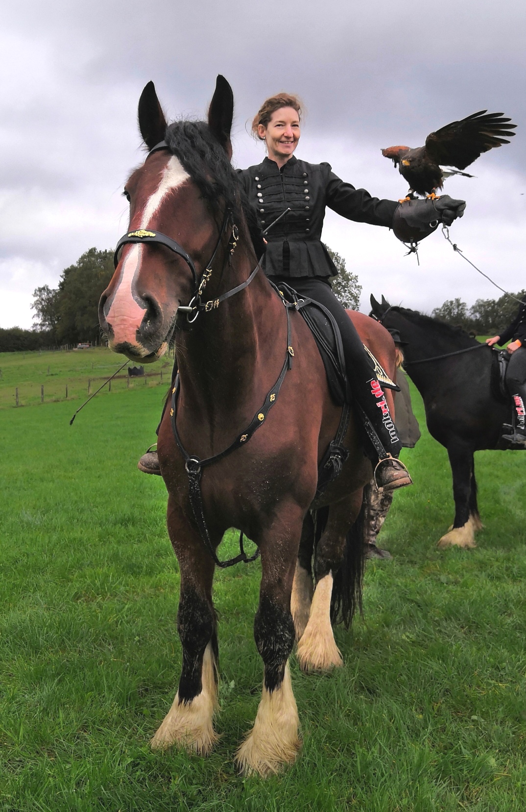 Shire Horse Warrior und Bussard "Jarle"